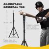 Soozier 17' x 5.5' Baseball Net with Strike Zone, Tee, Caddy, and Carry Bag for Pitching and Hitting